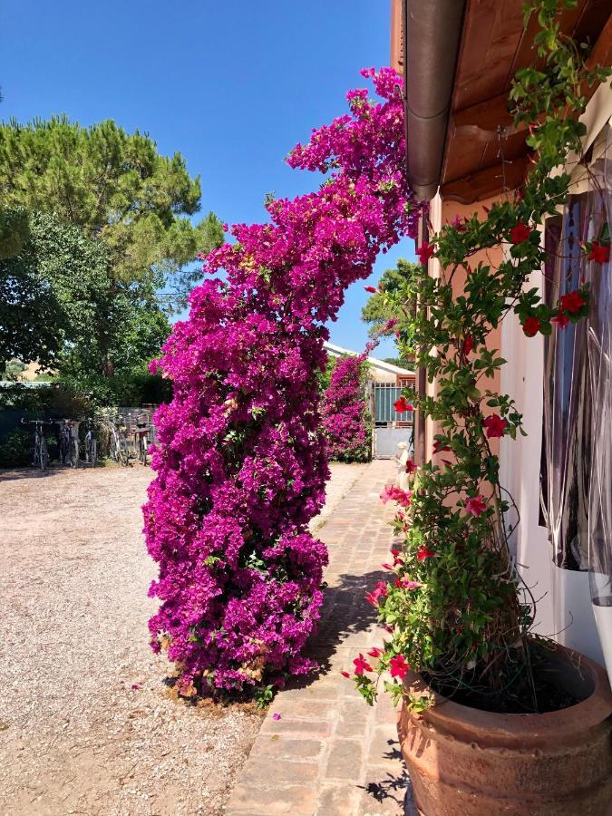 Fontebella Bed & Breakfast Монтемарчано Екстериор снимка