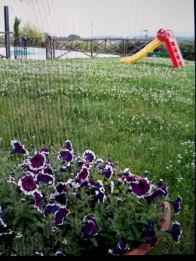 Fontebella Bed & Breakfast Монтемарчано Екстериор снимка