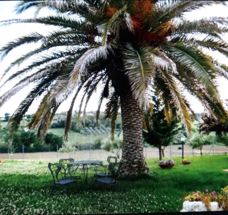 Fontebella Bed & Breakfast Монтемарчано Екстериор снимка