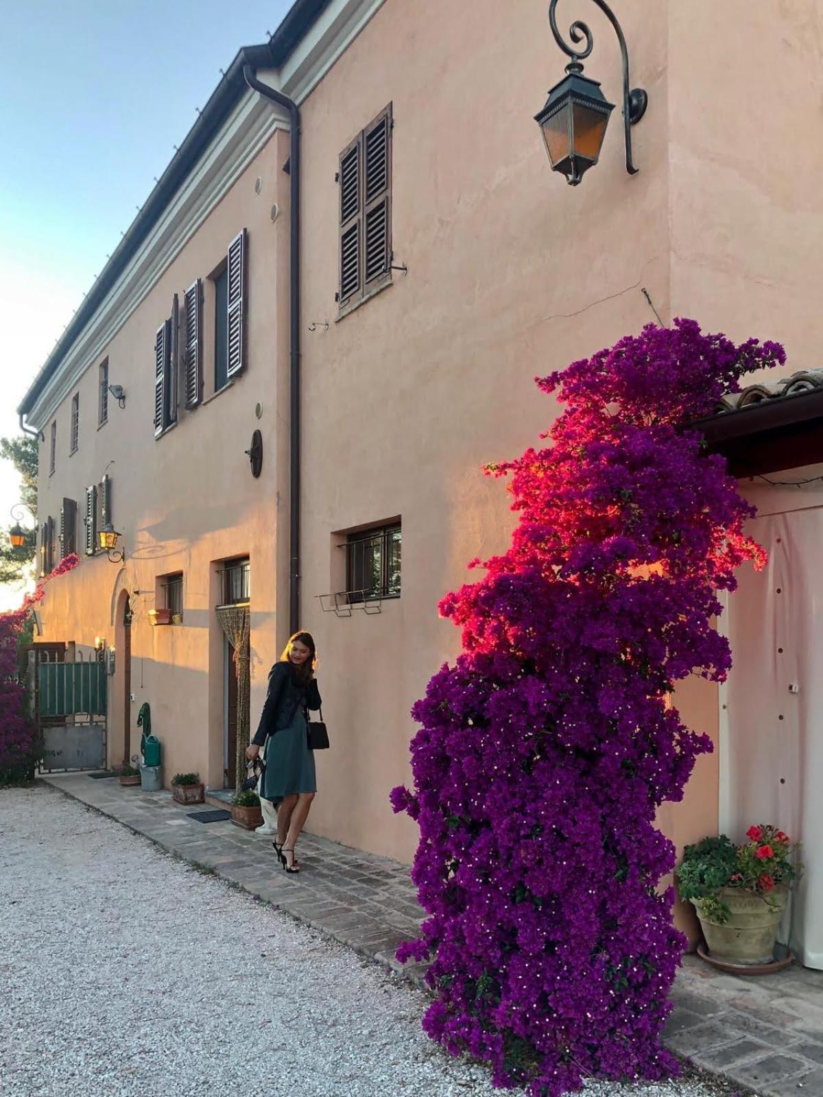 Fontebella Bed & Breakfast Монтемарчано Екстериор снимка