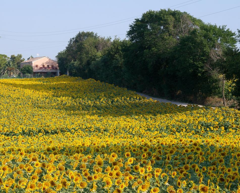 Fontebella Bed & Breakfast Монтемарчано Екстериор снимка